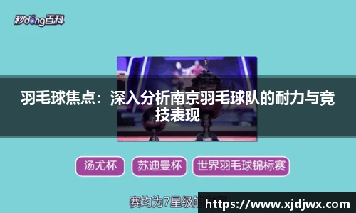 羽毛球焦点：深入分析南京羽毛球队的耐力与竞技表现