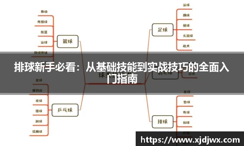 排球新手必看：从基础技能到实战技巧的全面入门指南