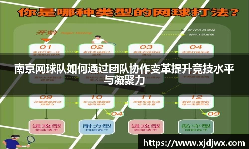 南京网球队如何通过团队协作变革提升竞技水平与凝聚力